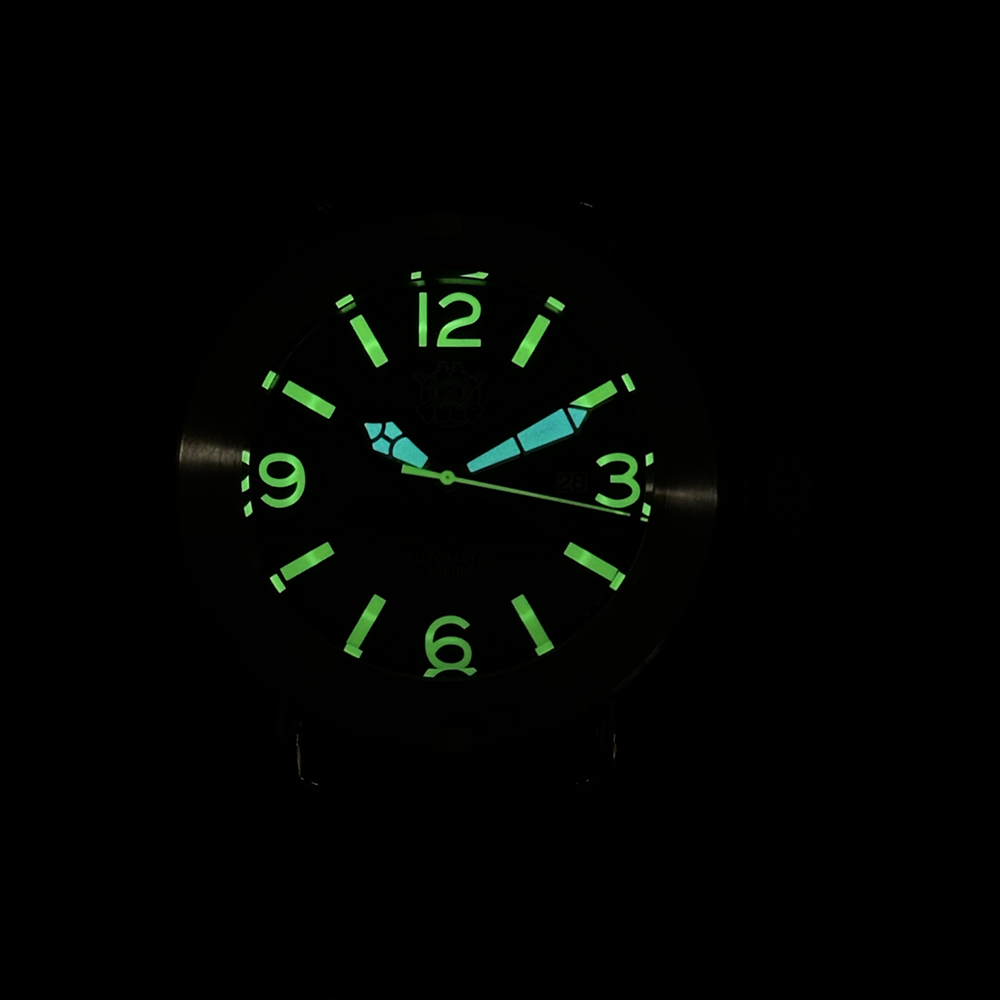 Steeldive 2025 Watch SD1912 Ov - огляд і ціна Seiko Watch Prospex